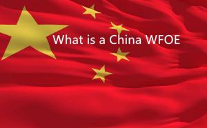Qu'est-ce qu'une WFOE en Chine et pourquoi obtenir une aide locale pour faciliter les choses